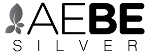 gallery/aebe-plan-silver-web